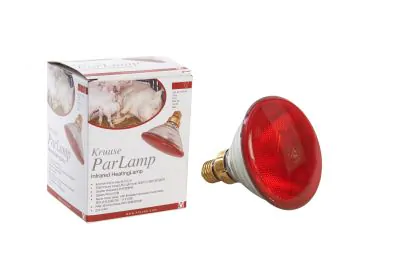 PAR-lamp varmepære 100 W, rød, 1 stk. Kruuse